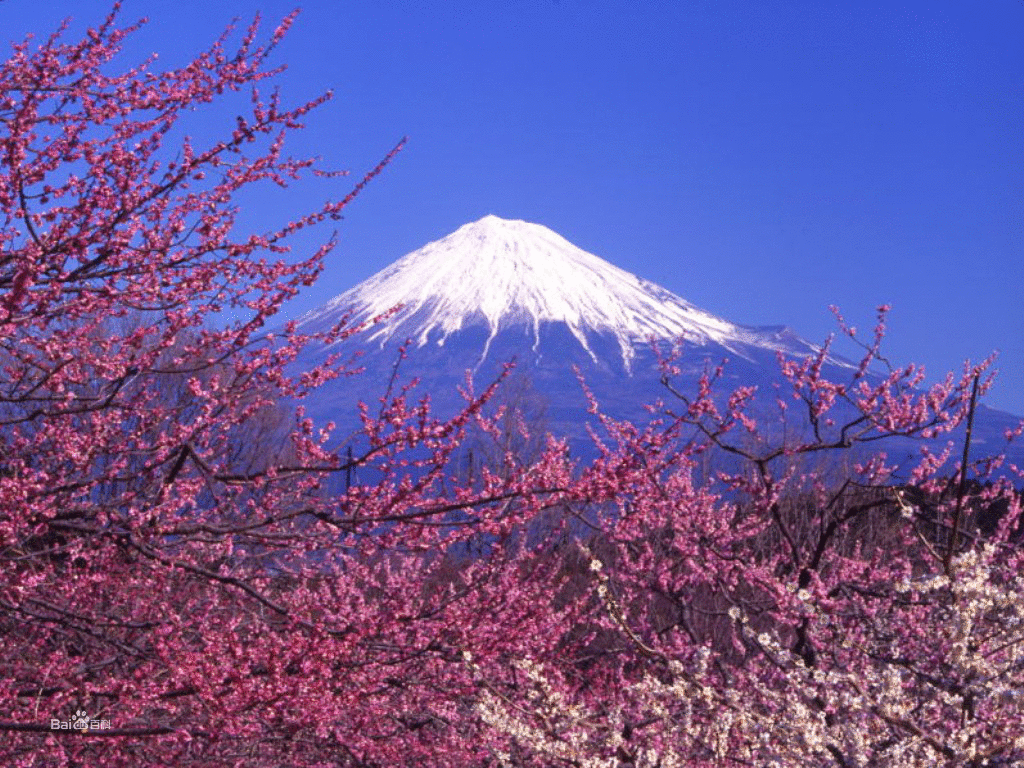 富士山居然是租来的，日本每年缴纳天价租金