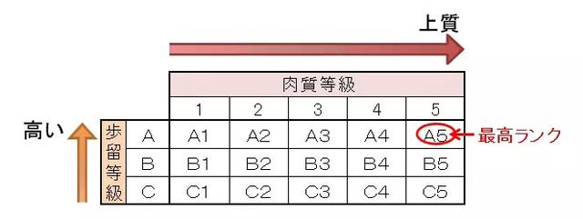 日本和牛科普大全