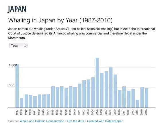 时隔30年，日本宣布恢复商业捕鲸！真是因为日本人爱吃鲸鱼肉？