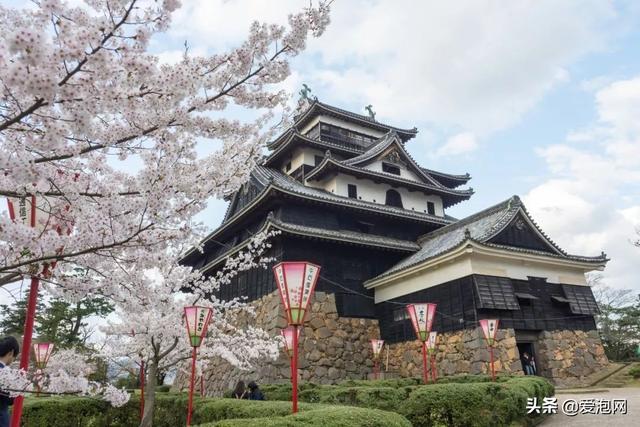 今年1月到5月 来日本看樱花全线攻略！