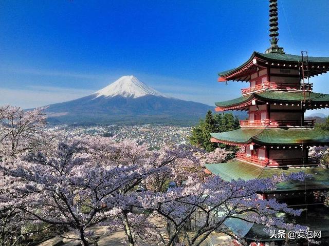 今年1月到5月 来日本看樱花全线攻略！