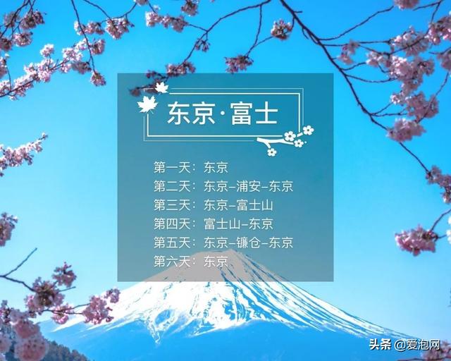 今年1月到5月 来日本看樱花全线攻略！