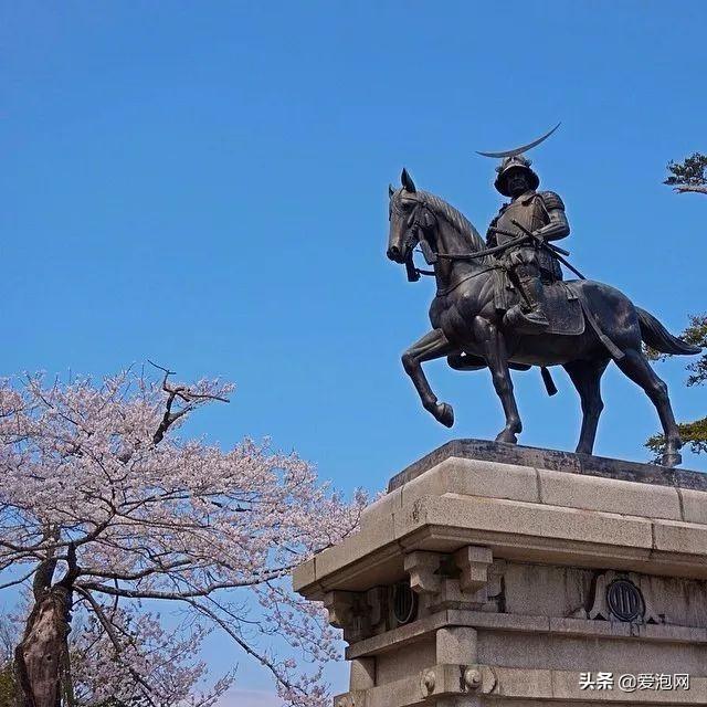 今年1月到5月 来日本看樱花全线攻略！