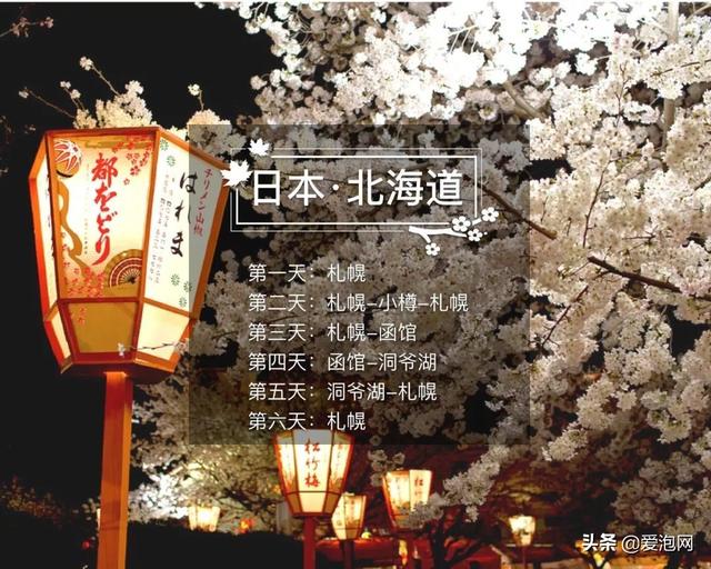 今年1月到5月 来日本看樱花全线攻略！