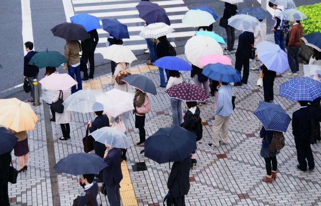 日本“胶囊酒店”，为何年轻人喜欢住？驴友：方便又私密！