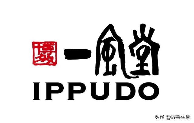 日本竟然有吃不胖的泡面！日本低碳水饮食大揭秘~