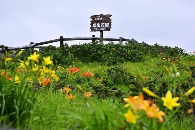 日本最美车站打卡地，保证你几乎都没去过！