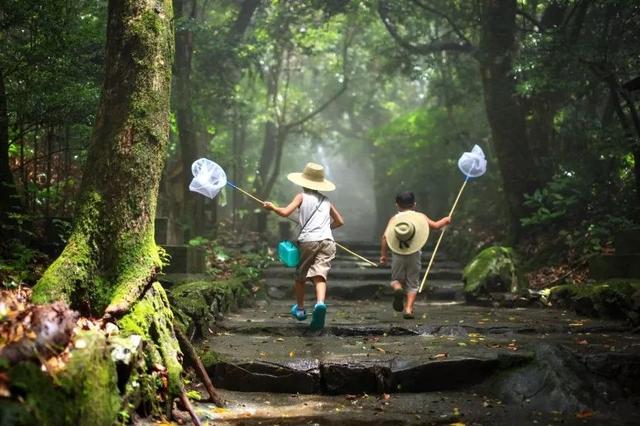 日本摄影师镜头下无忧无虑的童年和夏天