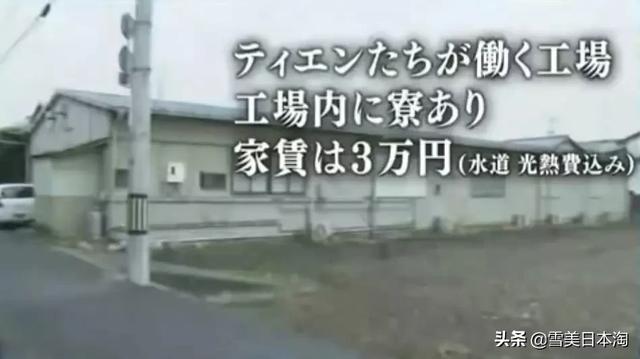 NHK实录日本实习生骗局，曝光当代人口贩卖交易…？？？！