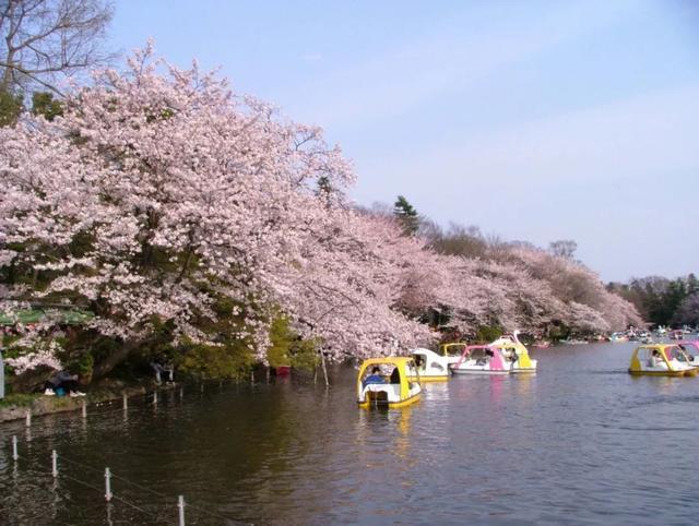 2019年日本“最想居住的街道”排行榜出炉，吉祥寺不是第一？