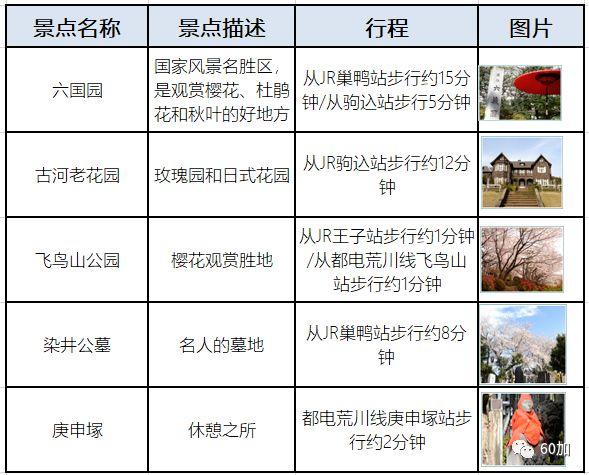 每年800万游客 日本巢鸭街缘何成为老年人的购物天堂？