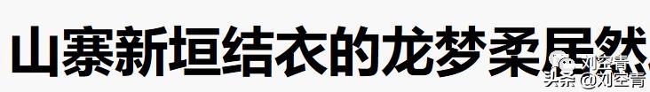 山寨新垣结衣终于大红大紫了！为什么她可以迷倒众多日本人？