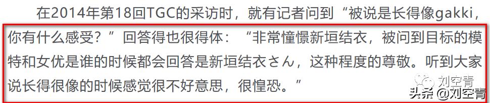 山寨新垣结衣终于大红大紫了！为什么她可以迷倒众多日本人？