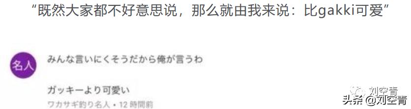 山寨新垣结衣终于大红大紫了！为什么她可以迷倒众多日本人？