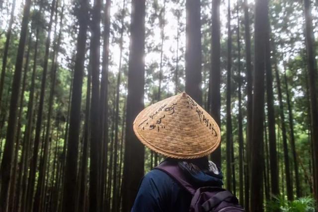 日本熊野古道，徒步秘境